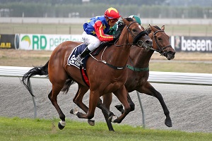 MISS SETON SANDS. NZB Insurance Stakes 13.03.15. RAceImagesChCh